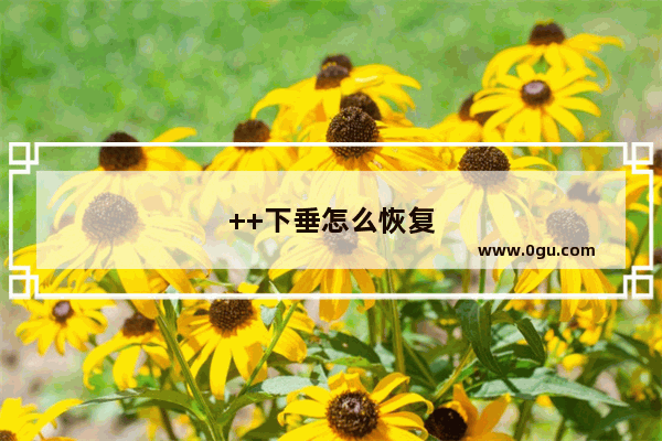 ++下垂怎么恢复