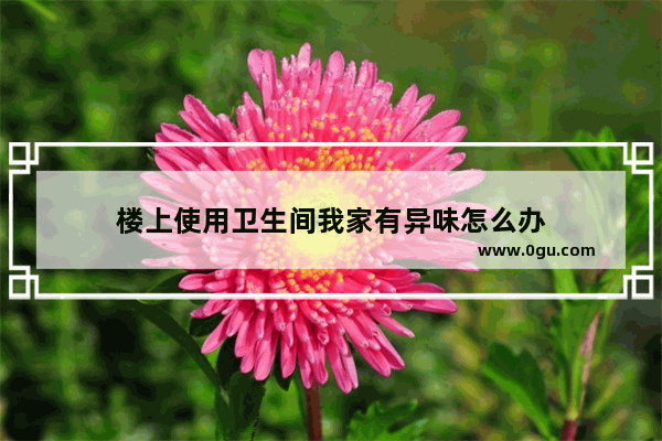 楼上使用卫生间我家有异味怎么办