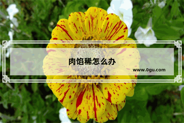 肉馅稀怎么办