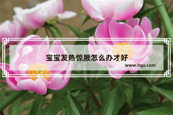 宝宝发热惊厥怎么办才好
