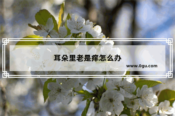 耳朵里老是痒怎么办