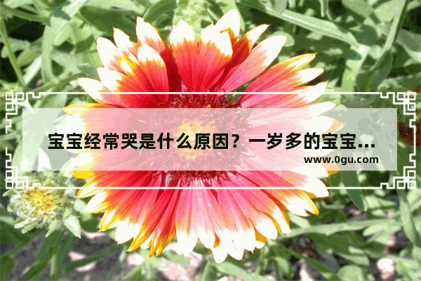 宝宝经常哭是什么原因？一岁多的宝宝动不动就哭闹怎么办