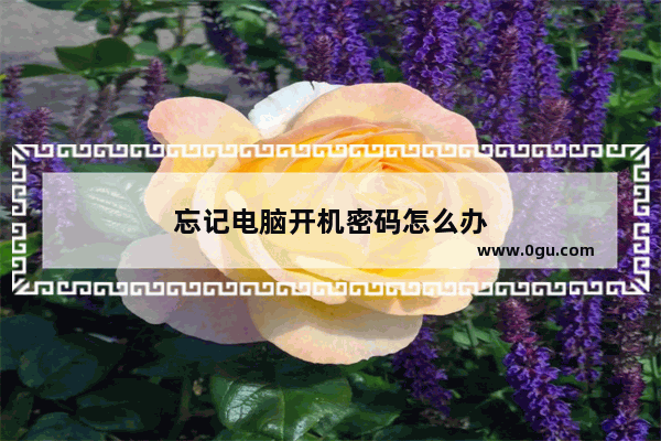 忘记电脑开机密码怎么办
