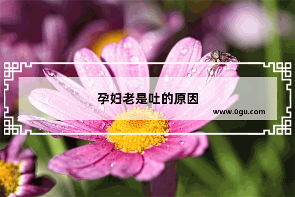 孕妇老是吐的原因