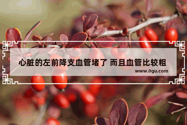 心脏的左前降支血管堵了 而且血管比较粗 怎么办