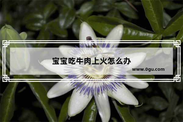 宝宝吃牛肉上火怎么办