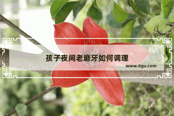 孩子夜间老磨牙如何调理