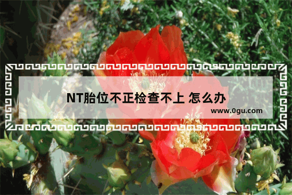 NT胎位不正检查不上 怎么办