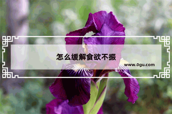 怎么缓解食欲不振