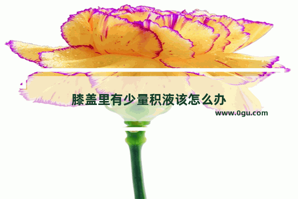 膝盖里有少量积液该怎么办