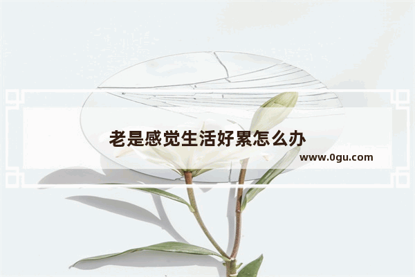 老是感觉生活好累怎么办
