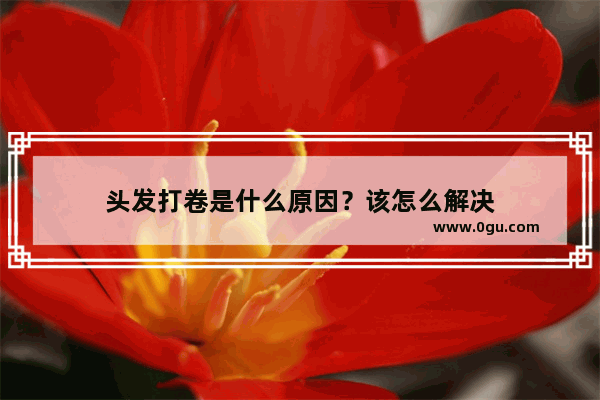 头发打卷是什么原因？该怎么解决