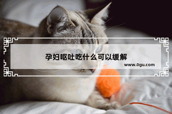孕妇呕吐吃什么可以缓解