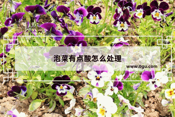 泡菜有点酸怎么处理