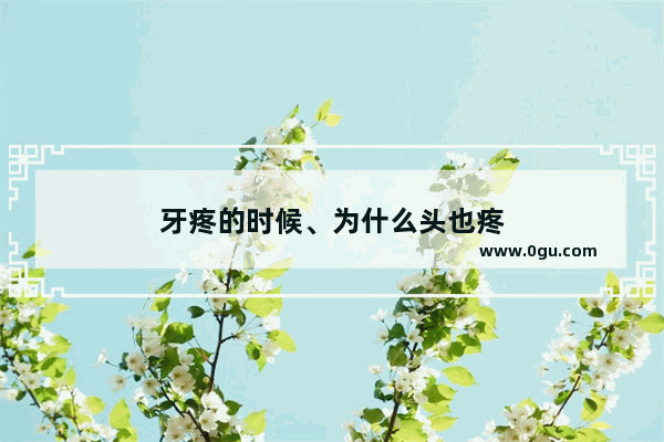 牙疼的时候、为什么头也疼