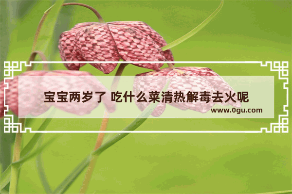 宝宝两岁了 吃什么菜清热解毒去火呢