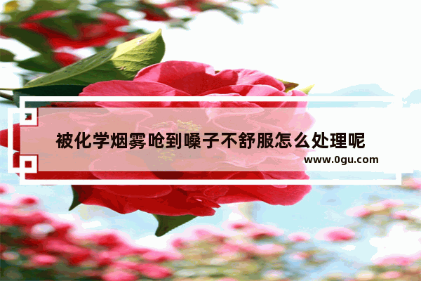 被化学烟雾呛到嗓子不舒服怎么处理呢