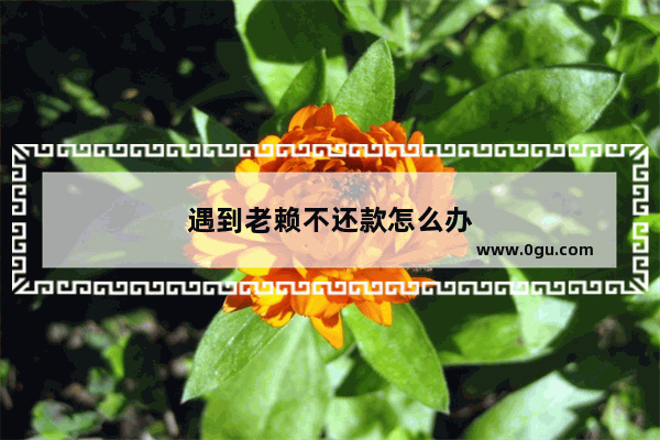 遇到老赖不还款怎么办