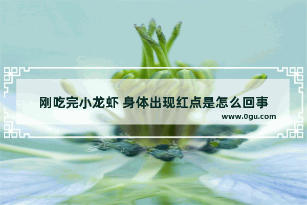 刚吃完小龙虾 身体出现红点是怎么回事
