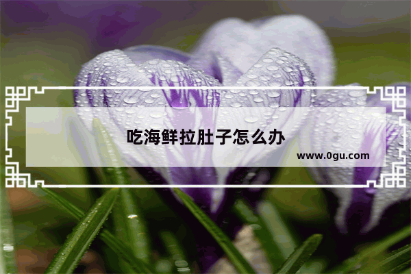 吃海鲜拉肚子怎么办