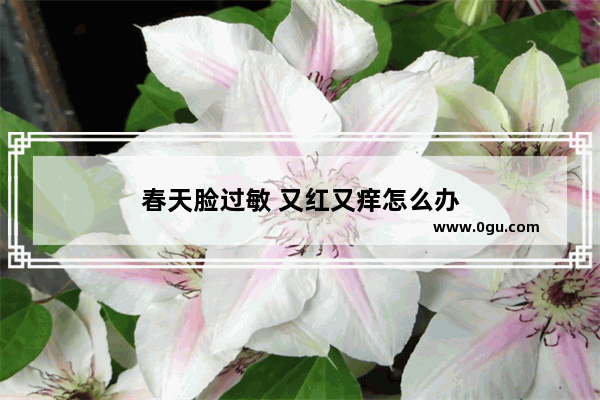 春天脸过敏 又红又痒怎么办