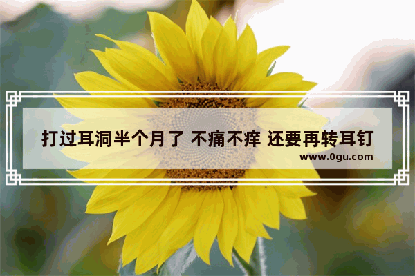 打过耳洞半个月了 不痛不痒 还要再转耳钉吗