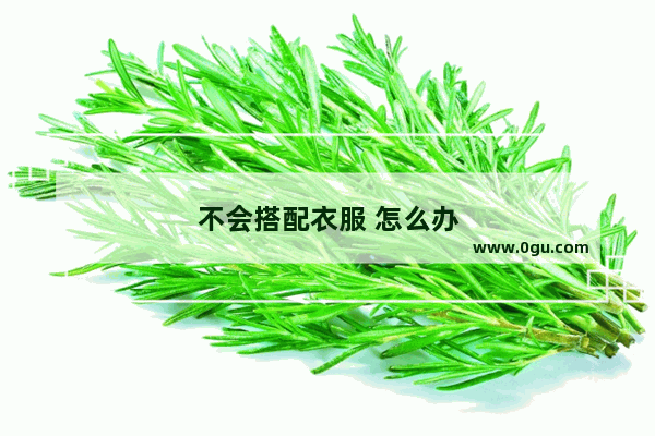 不会搭配衣服 怎么办