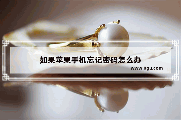 如果苹果手机忘记密码怎么办