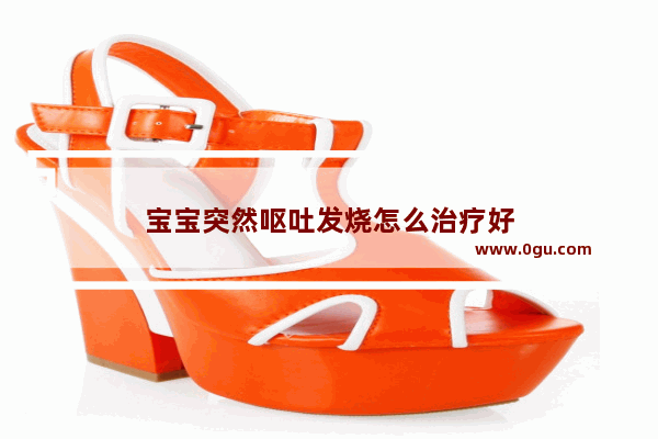 宝宝突然呕吐发烧怎么治疗好
