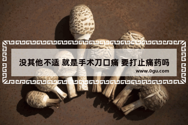 没其他不适 就是手术刀口痛 要打止痛药吗