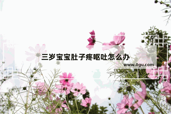 三岁宝宝肚子疼呕吐怎么办