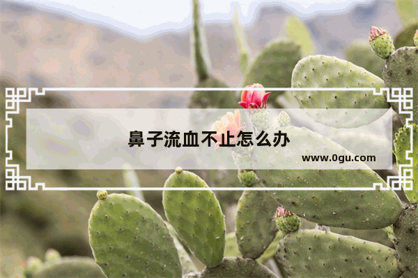 鼻子流血不止怎么办