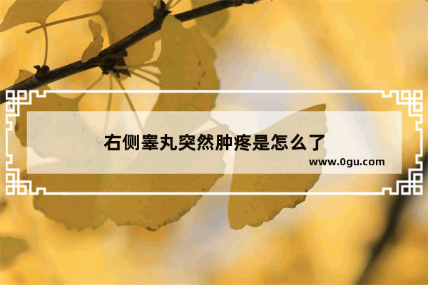 右侧睾丸突然肿疼是怎么了