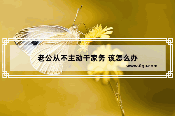 老公从不主动干家务 该怎么办