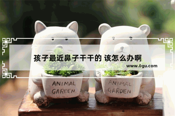 孩子最近鼻子干干的 该怎么办啊