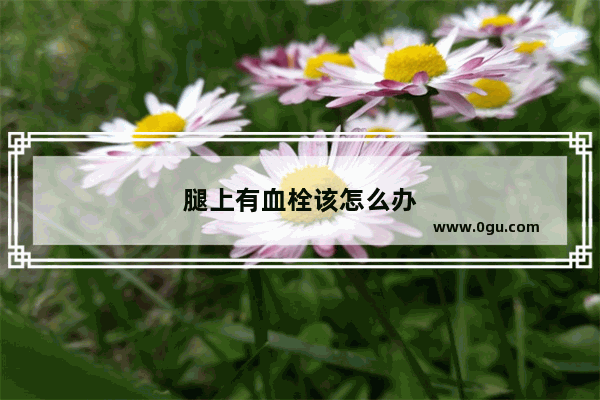 腿上有血栓该怎么办