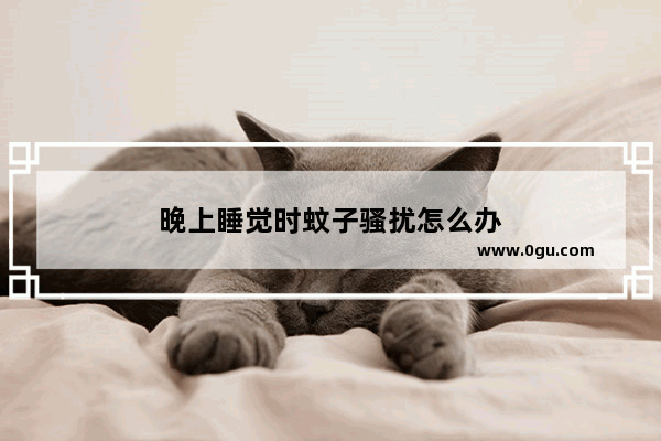 晚上睡觉时蚊子骚扰怎么办