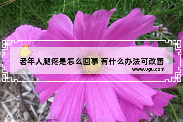 老年人腿疼是怎么回事 有什么办法可改善