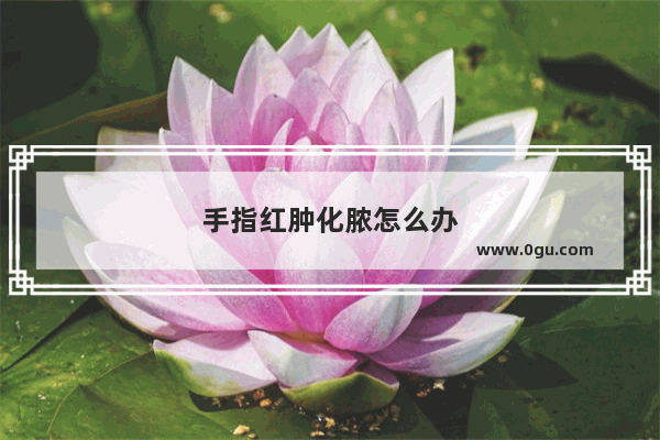 手指红肿化脓怎么办