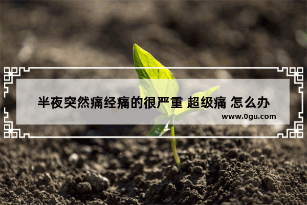 半夜突然痛经痛的很严重 超级痛 怎么办