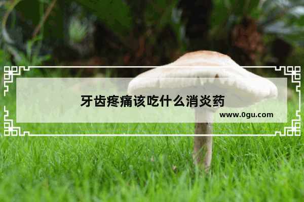 牙齿疼痛该吃什么消炎药