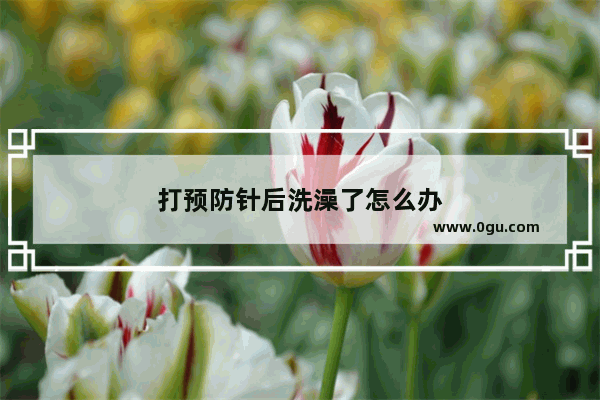 打预防针后洗澡了怎么办