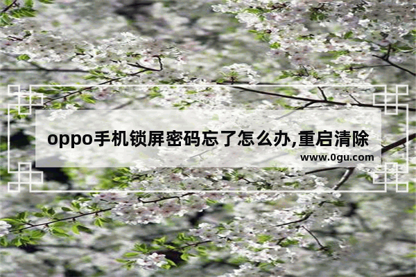 oppo手机锁屏密码忘了怎么办,重启清除都要密码