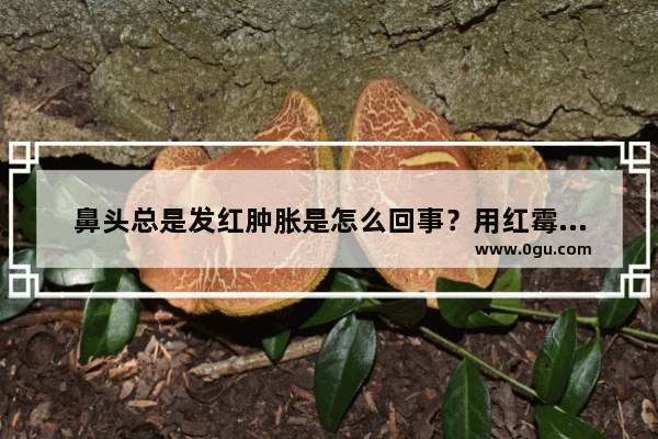 鼻头总是发红肿胀是怎么回事？用红霉素软膏也不好使