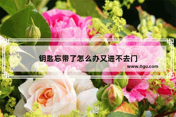 钥匙忘带了怎么办又进不去门