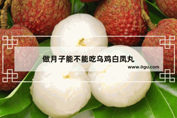 做月子能不能吃乌鸡白凤丸