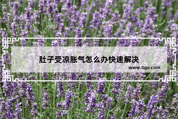 肚子受凉胀气怎么办快速解决