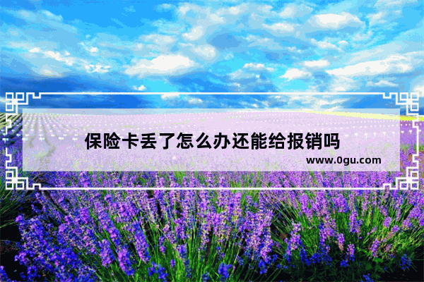 保险卡丢了怎么办还能给报销吗
