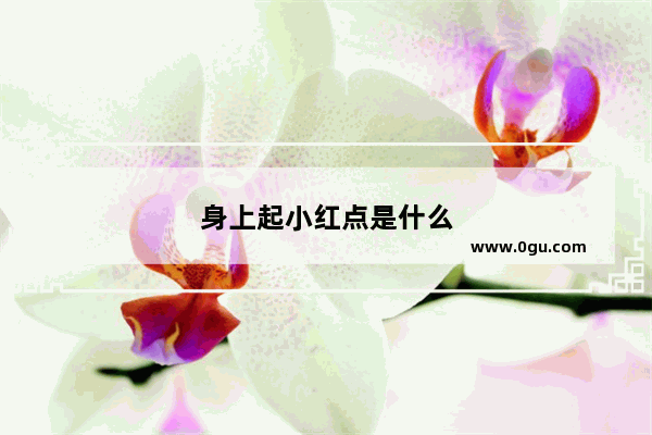身上起小红点是什么