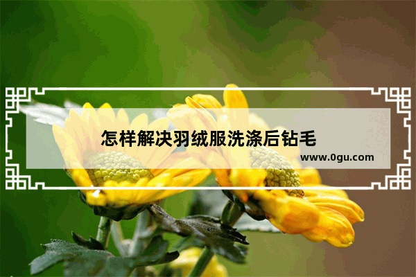 怎样解决羽绒服洗涤后钻毛
